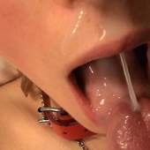 amateur wife first time oral cumshot